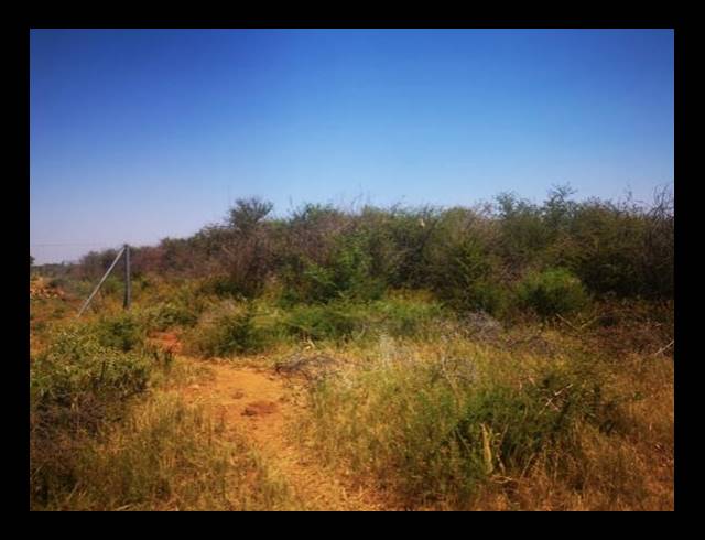 LAND FOR SALE IN RIETFONTEIN A H